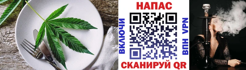 Купить где  Мантурово  Canna-Cookies конопля 