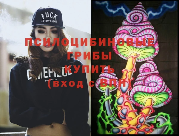 2c-b Кукмор