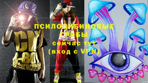 ГАЛЛЮЦИНОГЕННЫЕ ГРИБЫ Красноперекопск